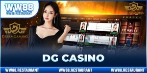 DG Casino