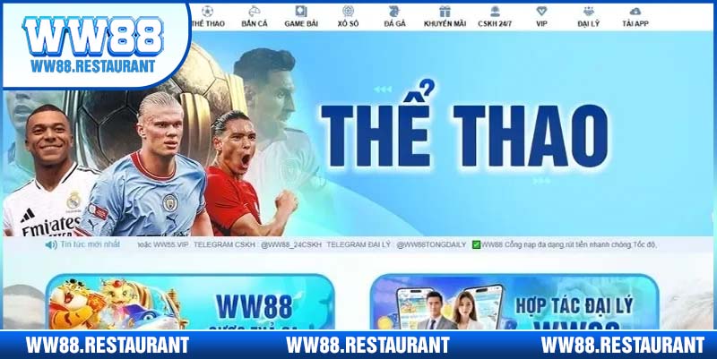 Khám Phá Sảnh Thể Thao WW88 – Trải Nghiệm Cá Cược Đỉnh Cao Cho Mọi Game Thủ