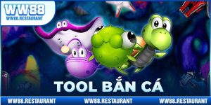 tool bắn cá